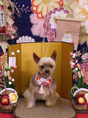 20240116リムちゃん